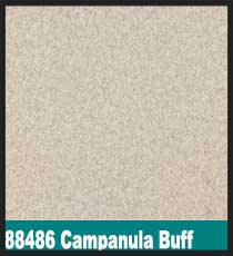 88486 Campanula Buff